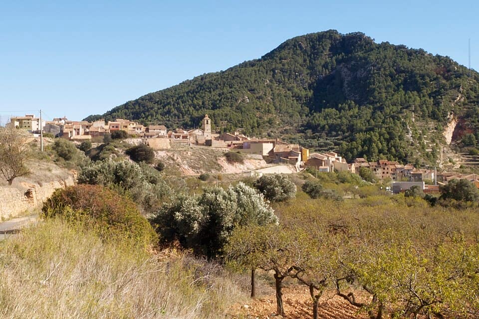 Vista de Prat de Comte