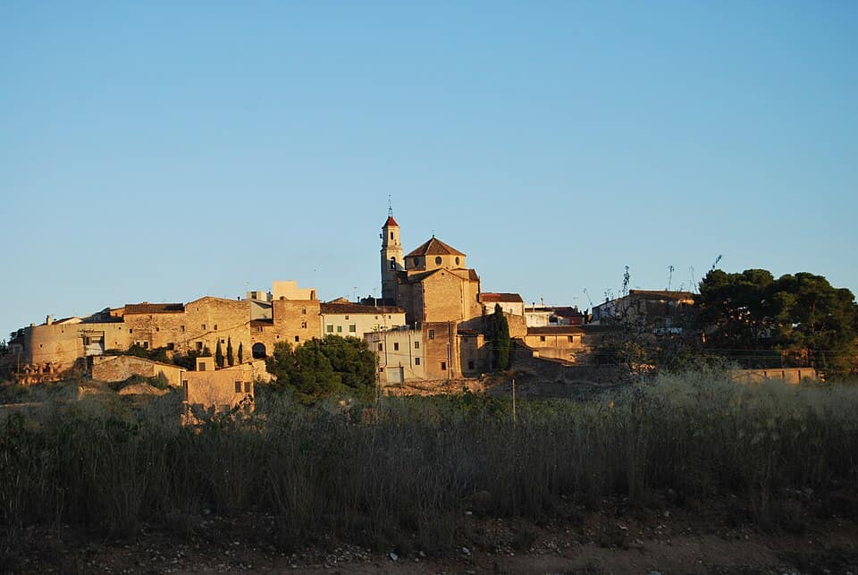 Vista de Puigpelat