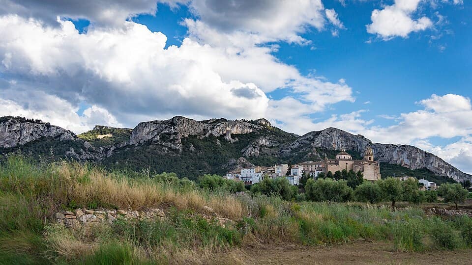Vista de Tivissa