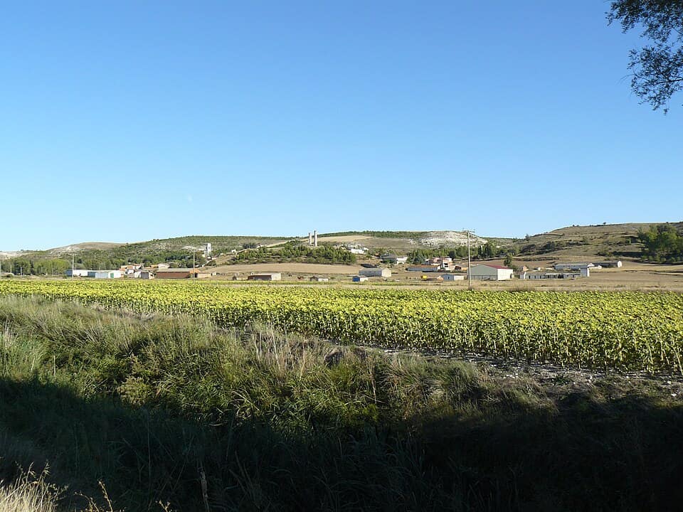 Vista de Canillas de Esgueva