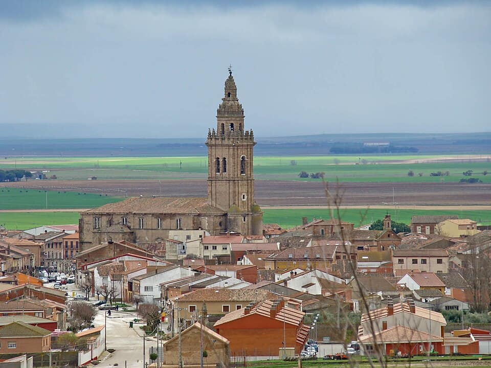 Vista de Nava del Rey