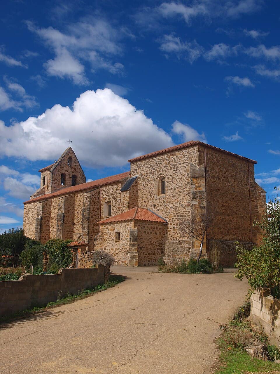 Vista de Ayoó de Vidriales