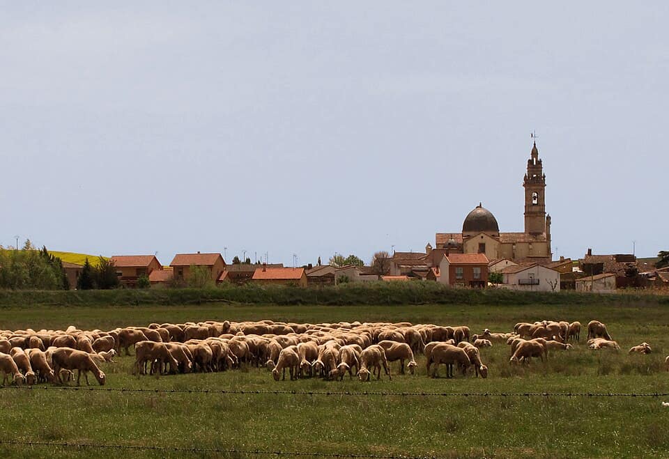 Vista de Molacillos