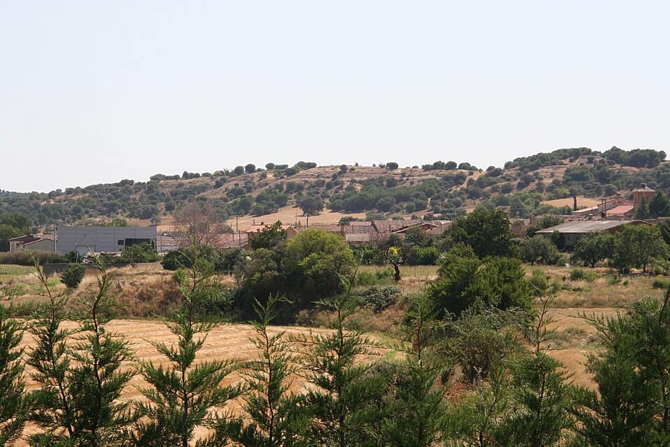 Vista de Peleagonzalo